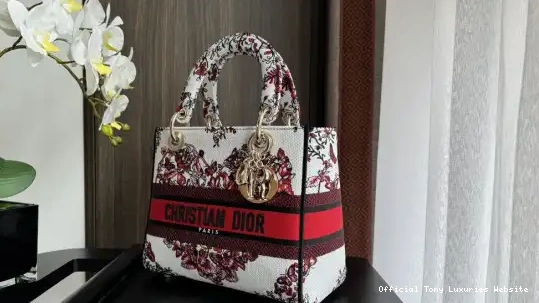 Tony Luxuries D-LITE MEDIUM BAG-24-20-11CM LADY diro 0403